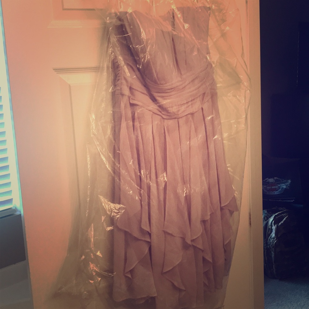 David’s bridal size 8